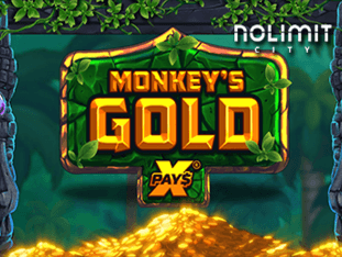 Monkeys Gold Xpays game screenshot